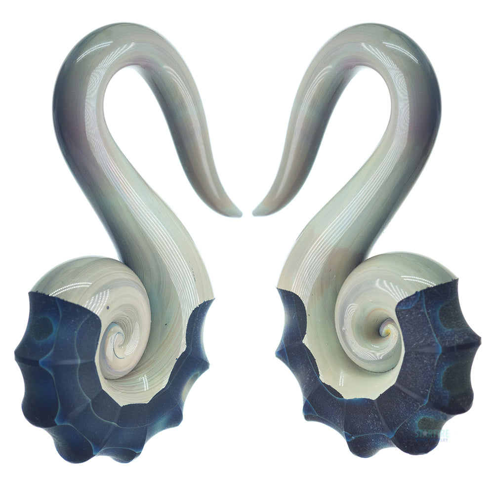Glass Nautilus