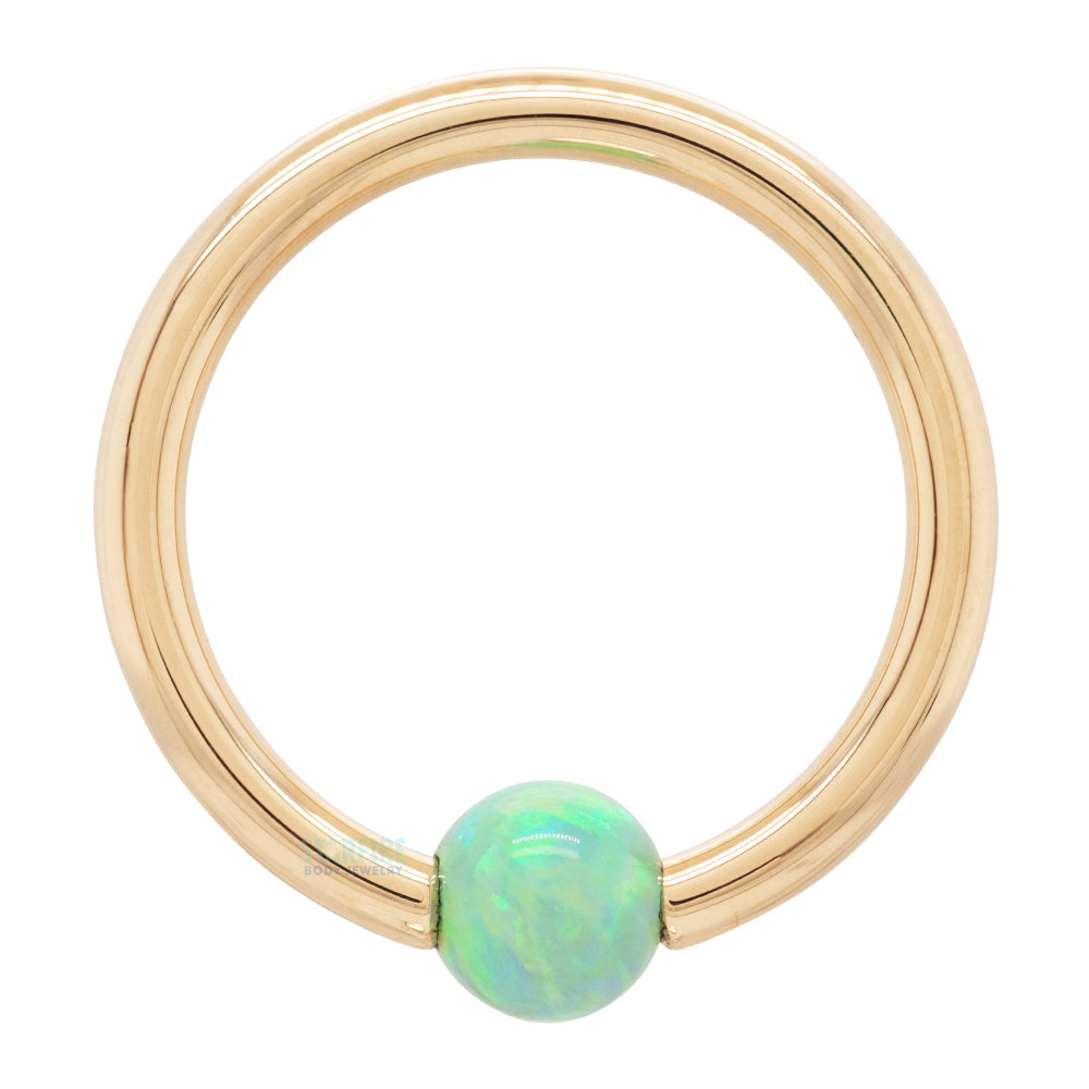 Captive Bead Ring (CBR) in Gold with Green Opal Captive Bead