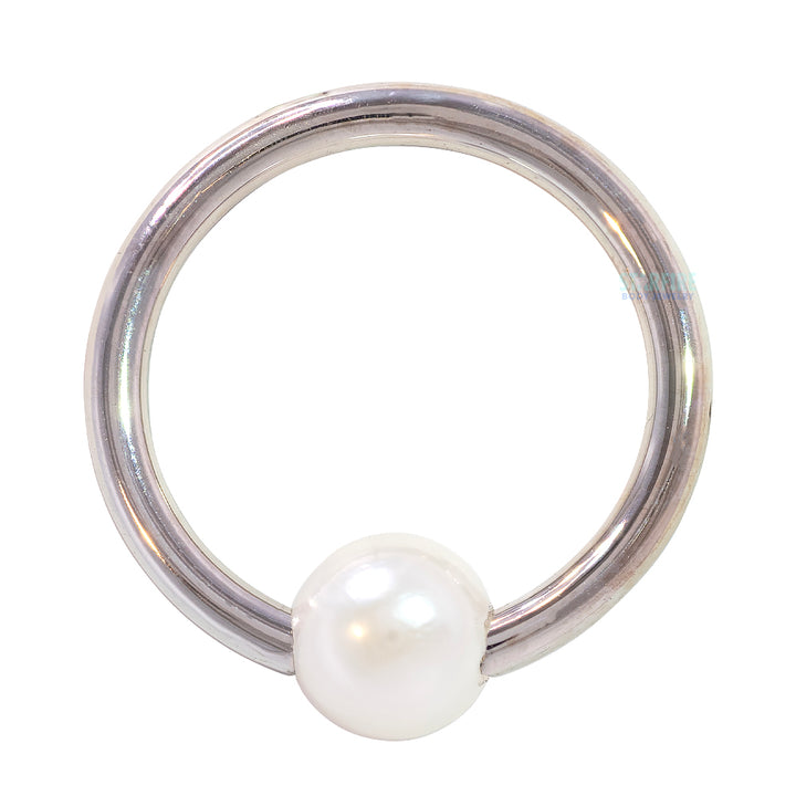 Captive Bead Ring (CBR) in Gold & Platinum with Pearl Captive Bead