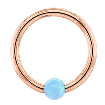 Captive Bead Ring (CBR) in Gold with Baby Blue Opal Captive Bead