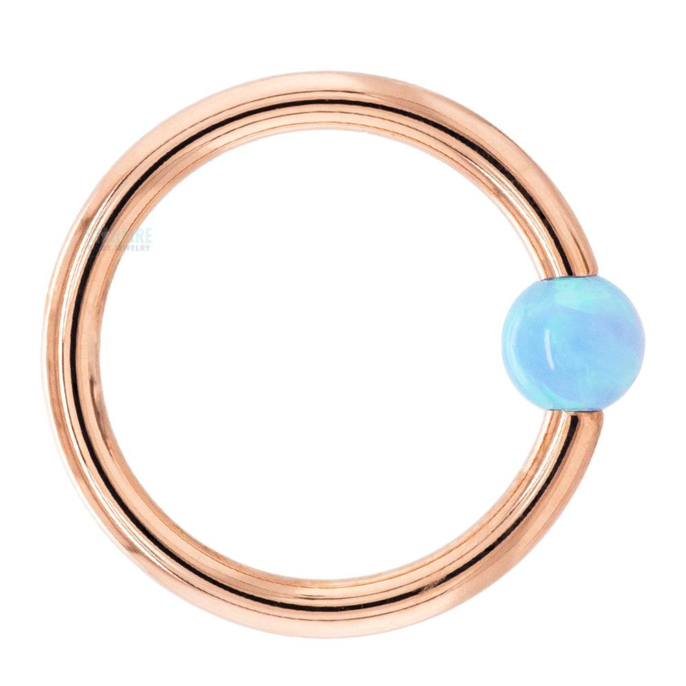 Captive Bead Ring (CBR) in Gold with Baby Blue Opal Captive Bead