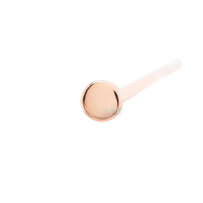 Round Disc Nostril Screw in Gold