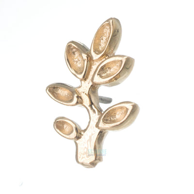 threadless: Frond Pin in Gold