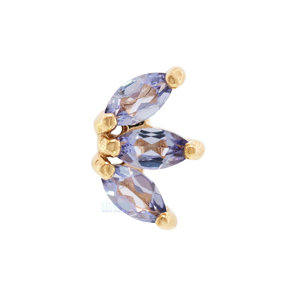 threadless: "Mini Moet" End in Gold with Tanzanites