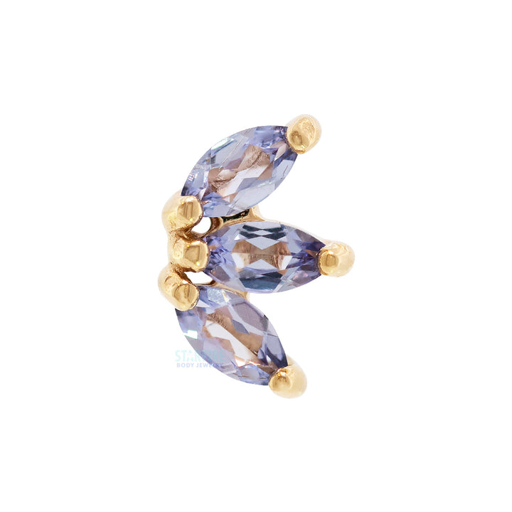 threadless: "Mini Moet" End in Gold with Tanzanites