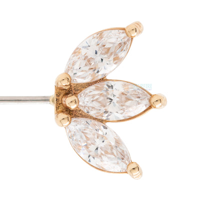 threadless: "Moet" Forward Facing End in Gold with CZ's