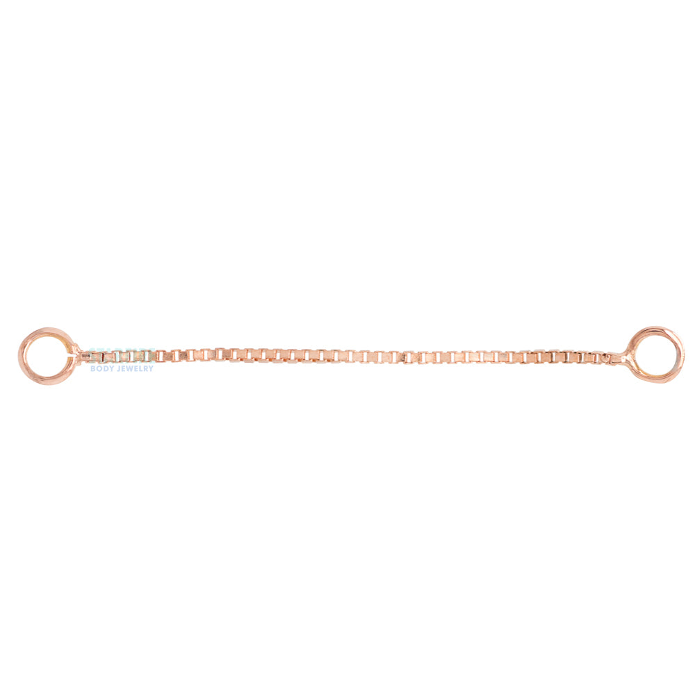 Single Box Chain Attachment in Gold