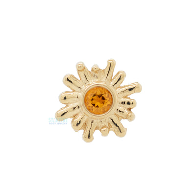 "Sun Ray" Nostril Screw in Gold with Citrine