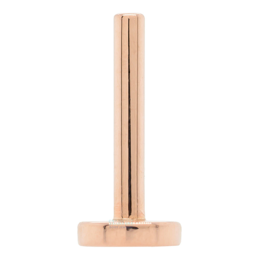 Gold & Platinum Threaded Flatback / Labret Post / Straight Barbell End with Fixed Disc