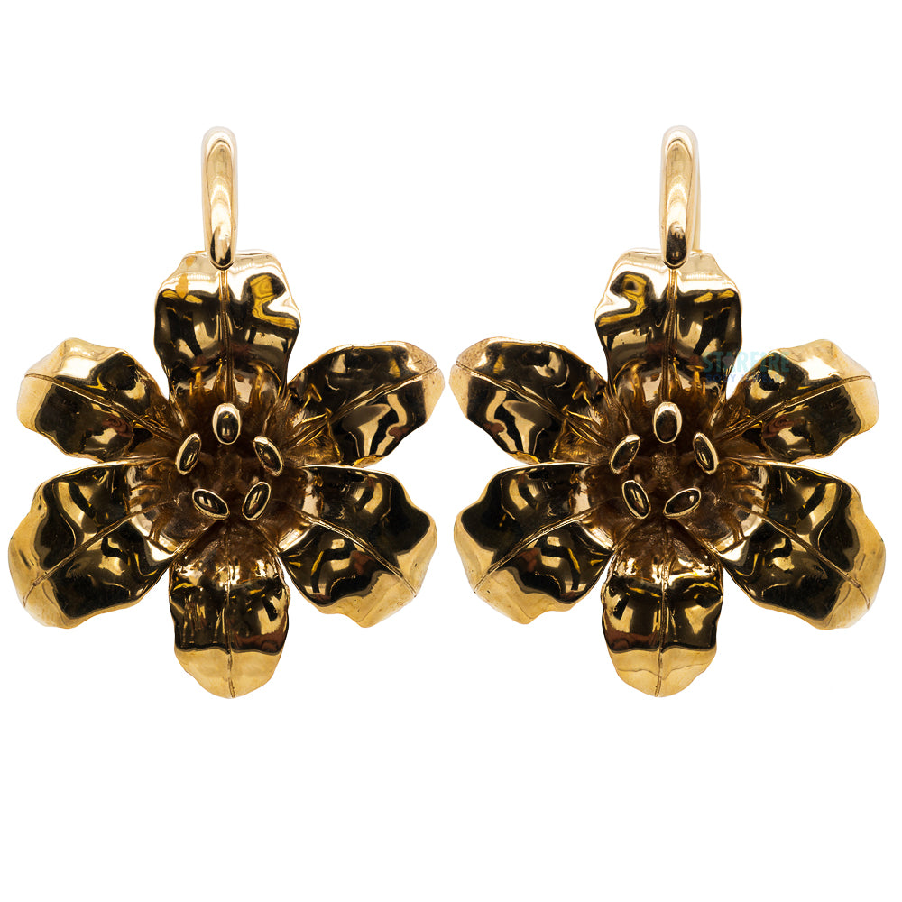 Lily Weights
