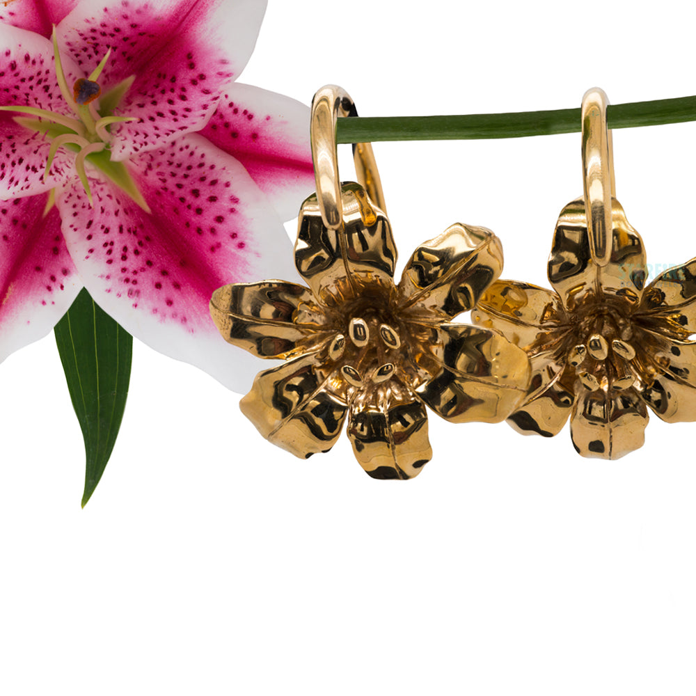 Lily Weights