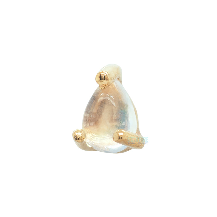 threadless: Prong-Set Pear End in Gold with Rainbow Moonstone