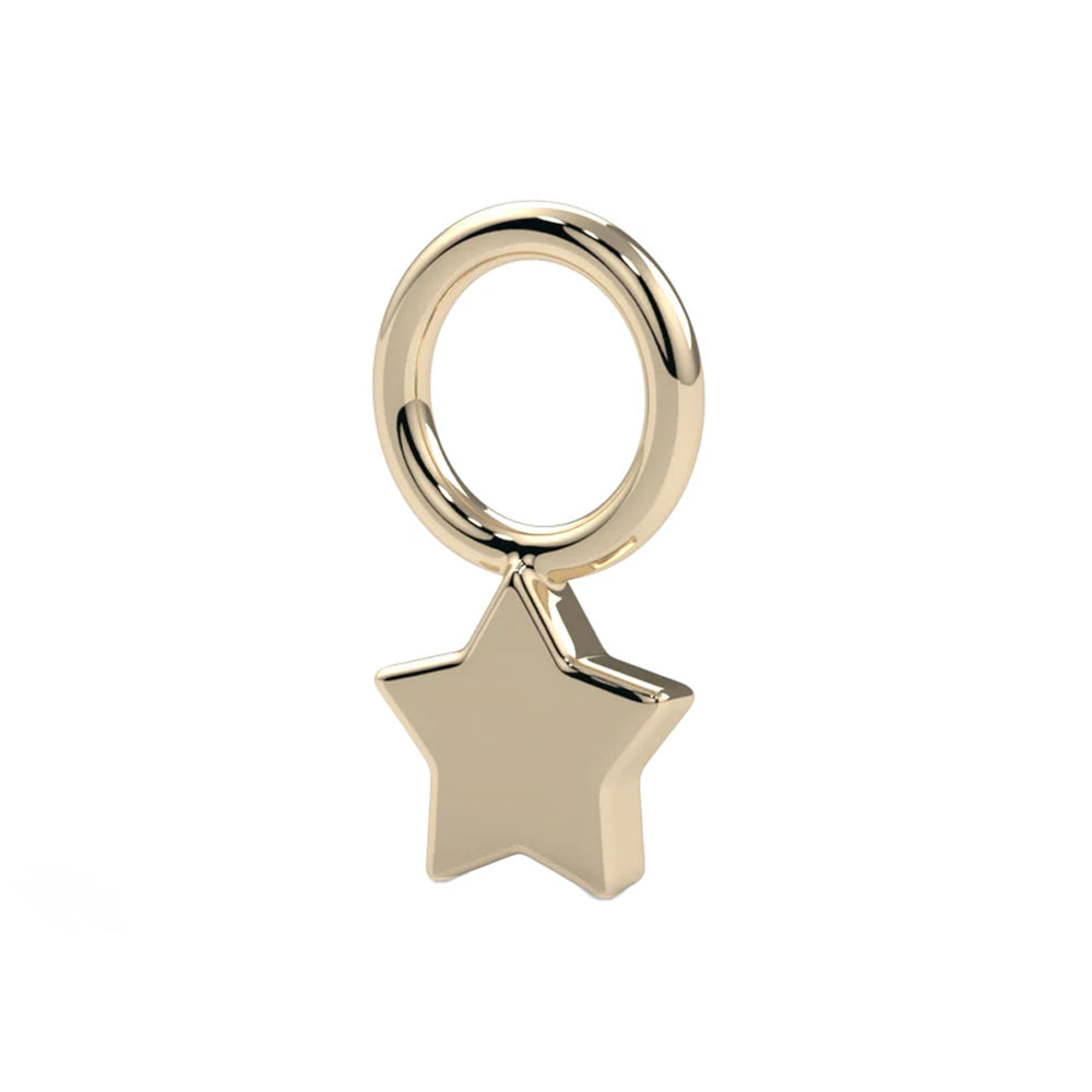 Star Charm in Gold & Platinum