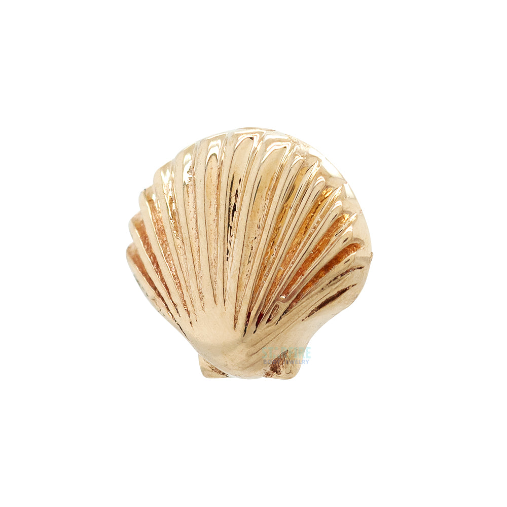 Seashell (Scallop Shell) Threaded End in Gold