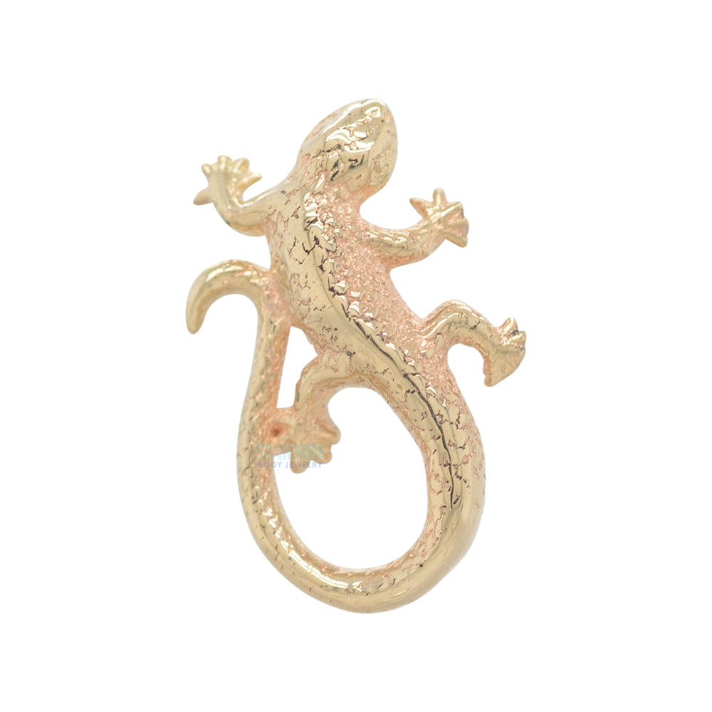 Collared Lizard Threaded End in Gold