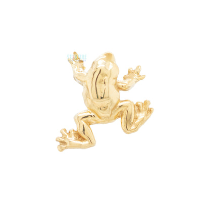 Tree Frog Threaded End in Gold