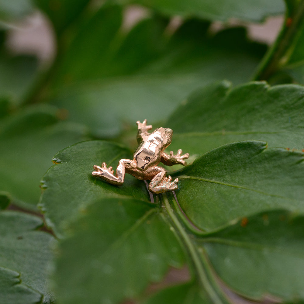 Tree Frog Threaded End in Gold