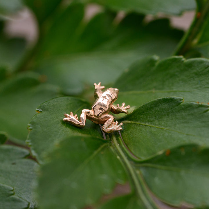 Anatometal Tree Frog Threaded End in Gold – Starfire Body Jewelry