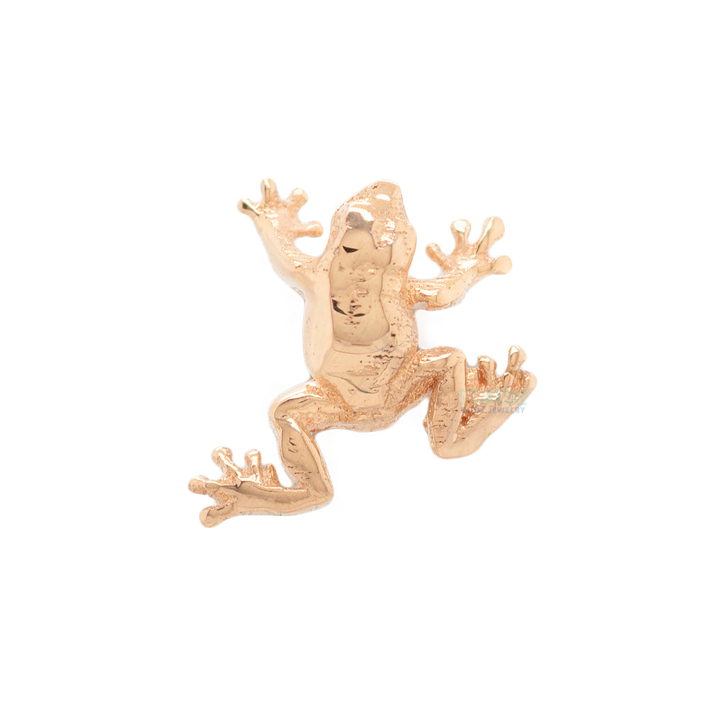 Anatometal Tree Frog Threaded End in Gold – Starfire Body Jewelry