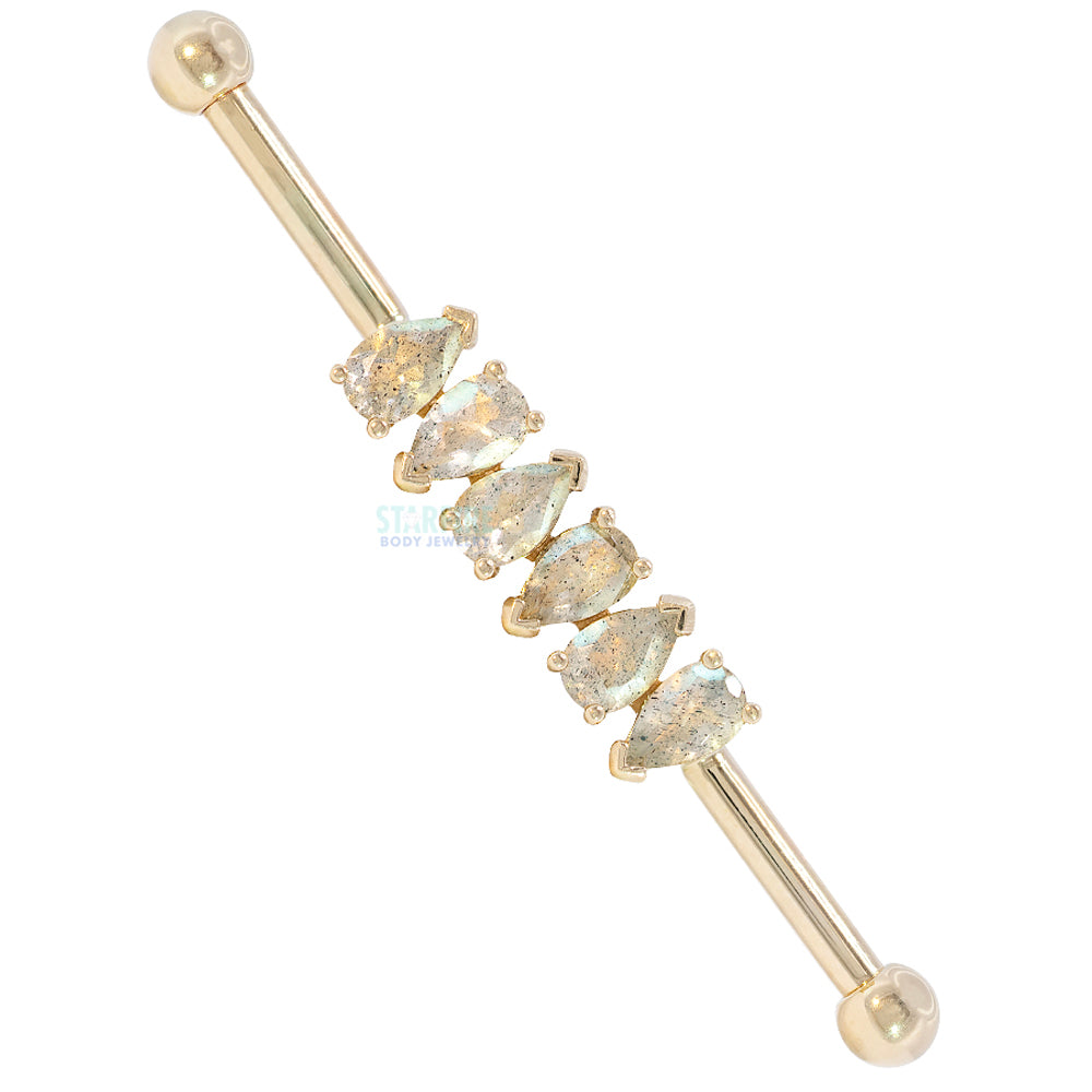 "Freyja" Industrial Barbell in Gold with Faceted Labradorite