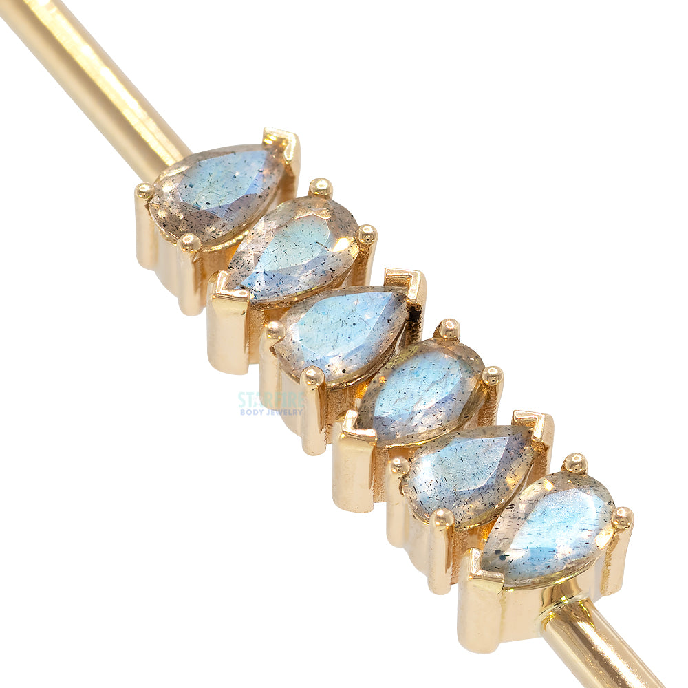 "Freyja" Industrial Barbell in Gold with Faceted Labradorite