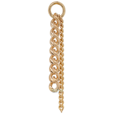 "Curb Appeal" Chain Charm in Gold