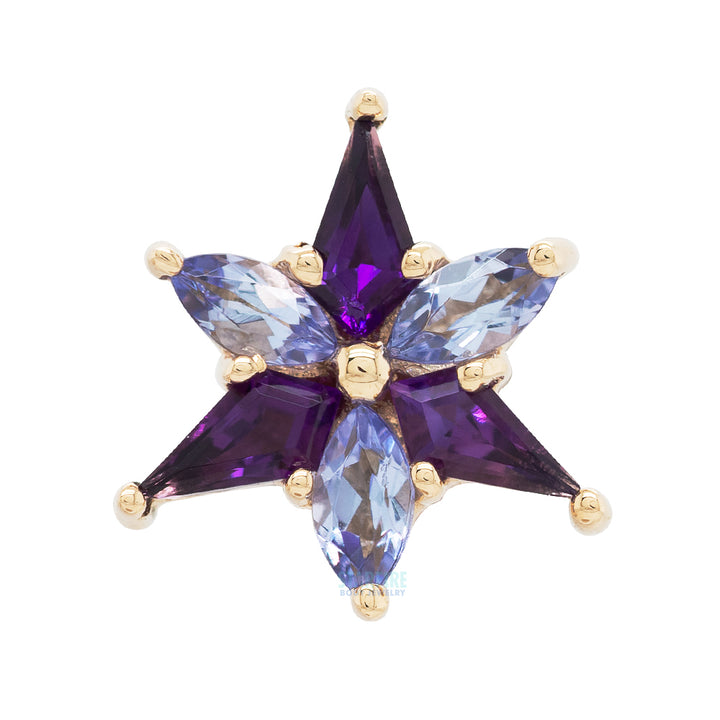 "Stargazer" Threaded End in Gold with Amethyst & Tanzanite