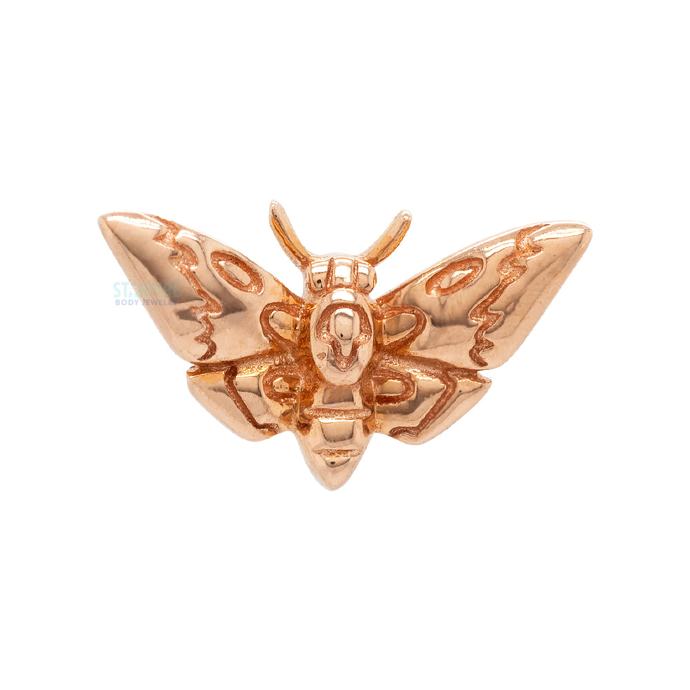 threadless: "Deaths-Head Moth" End in Gold