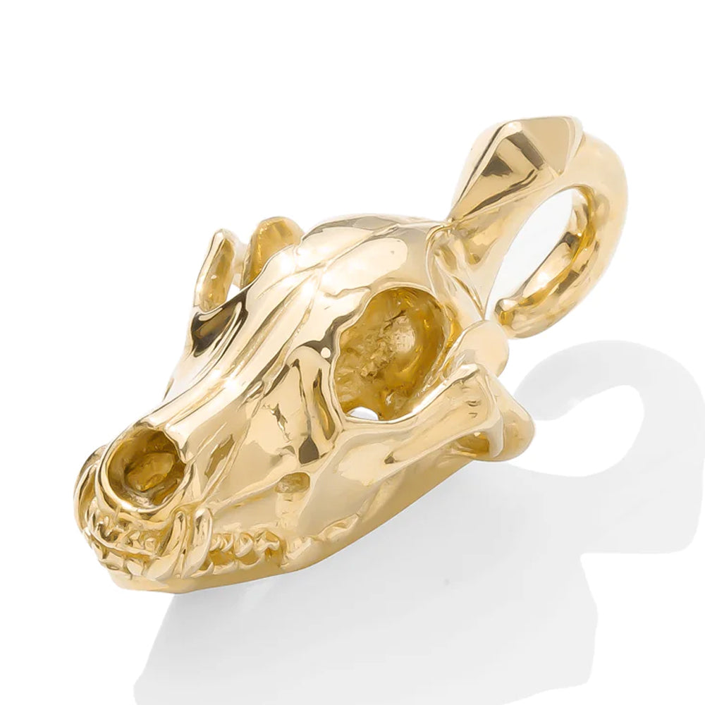 Coyote Skull Weights