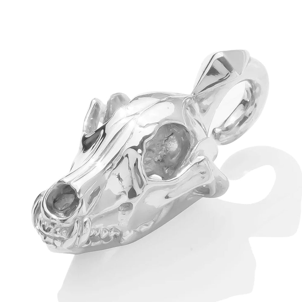 Coyote Skull Weights