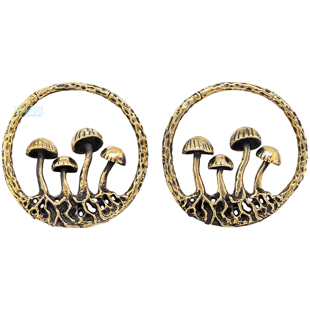 "Fairy" Rings in Brass