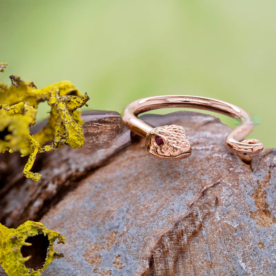 Serpent Circular Barbell in Gold with Rubies