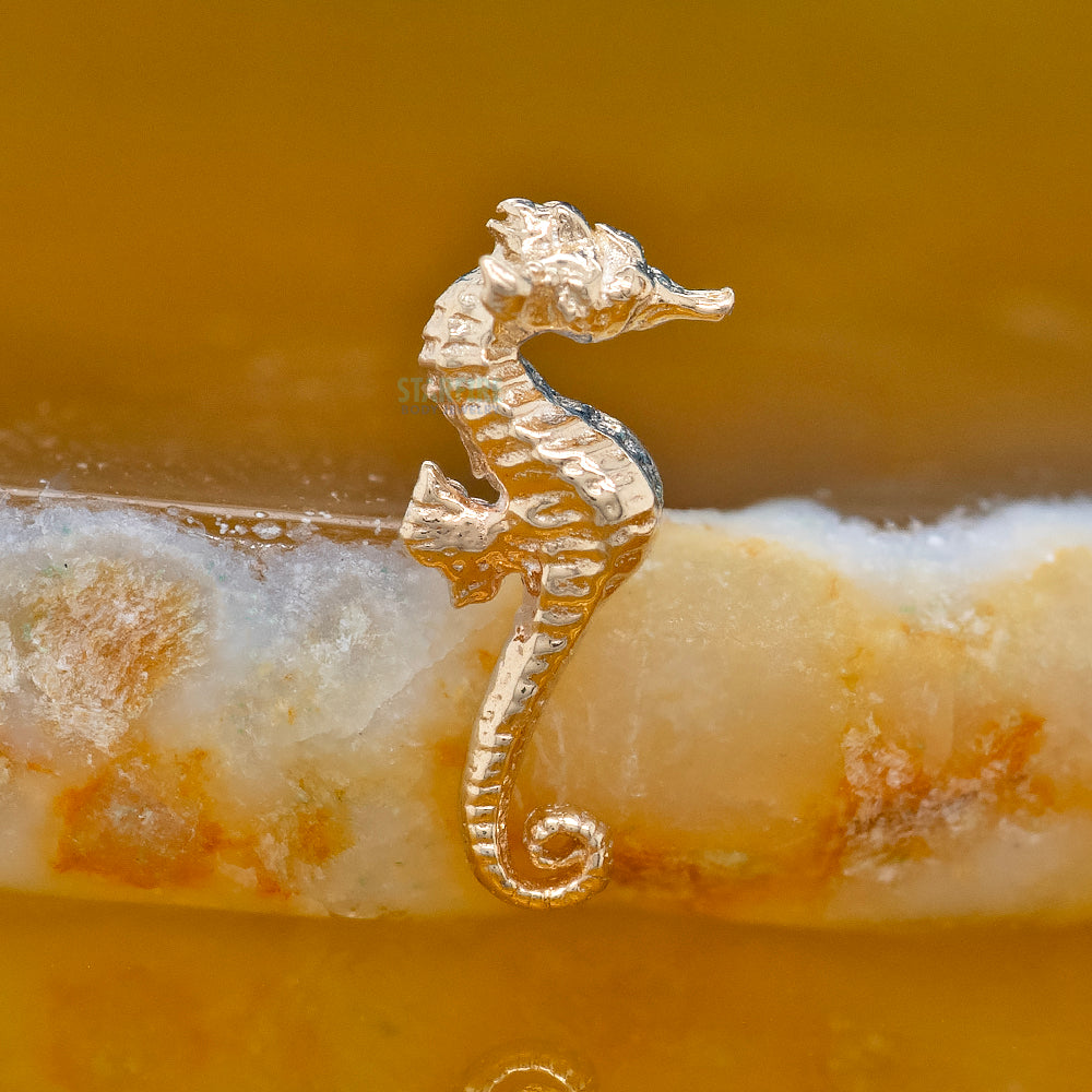 threadless: Seahorse Pin in Gold