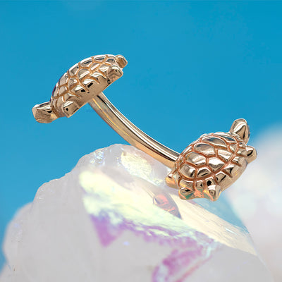 "Walking Turtle" Navel Curve in Gold