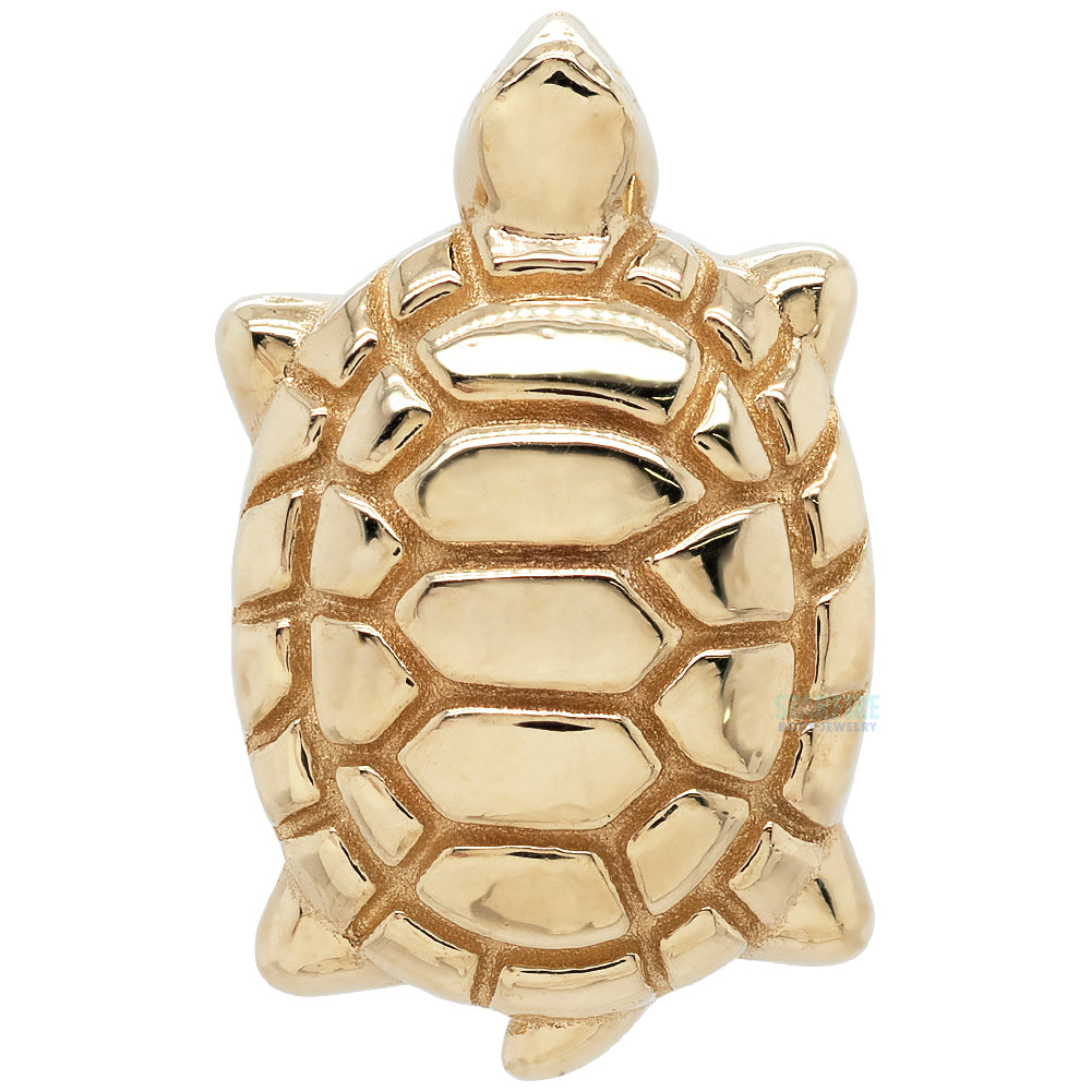Walking Turtle Threaded End in Gold