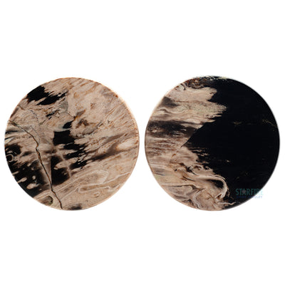 Stone Plugs - Petrified Palm Wood