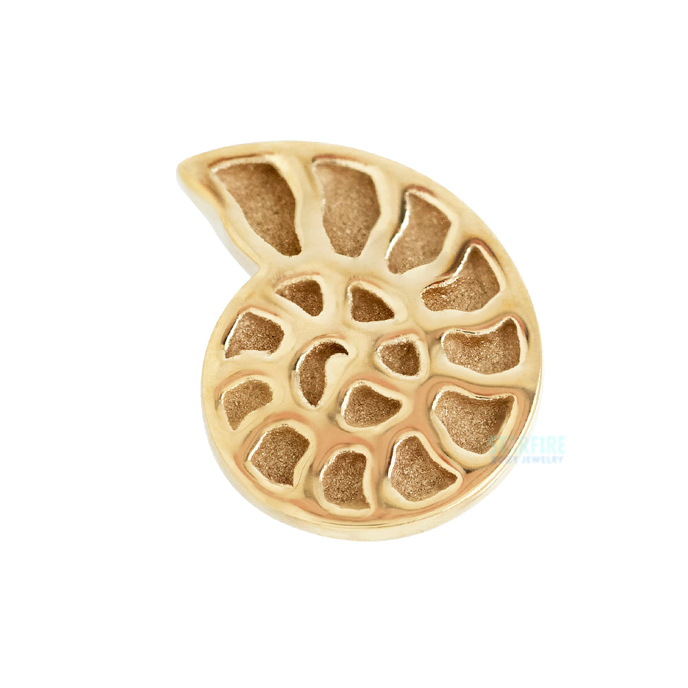 Nautilus Threaded End in Gold