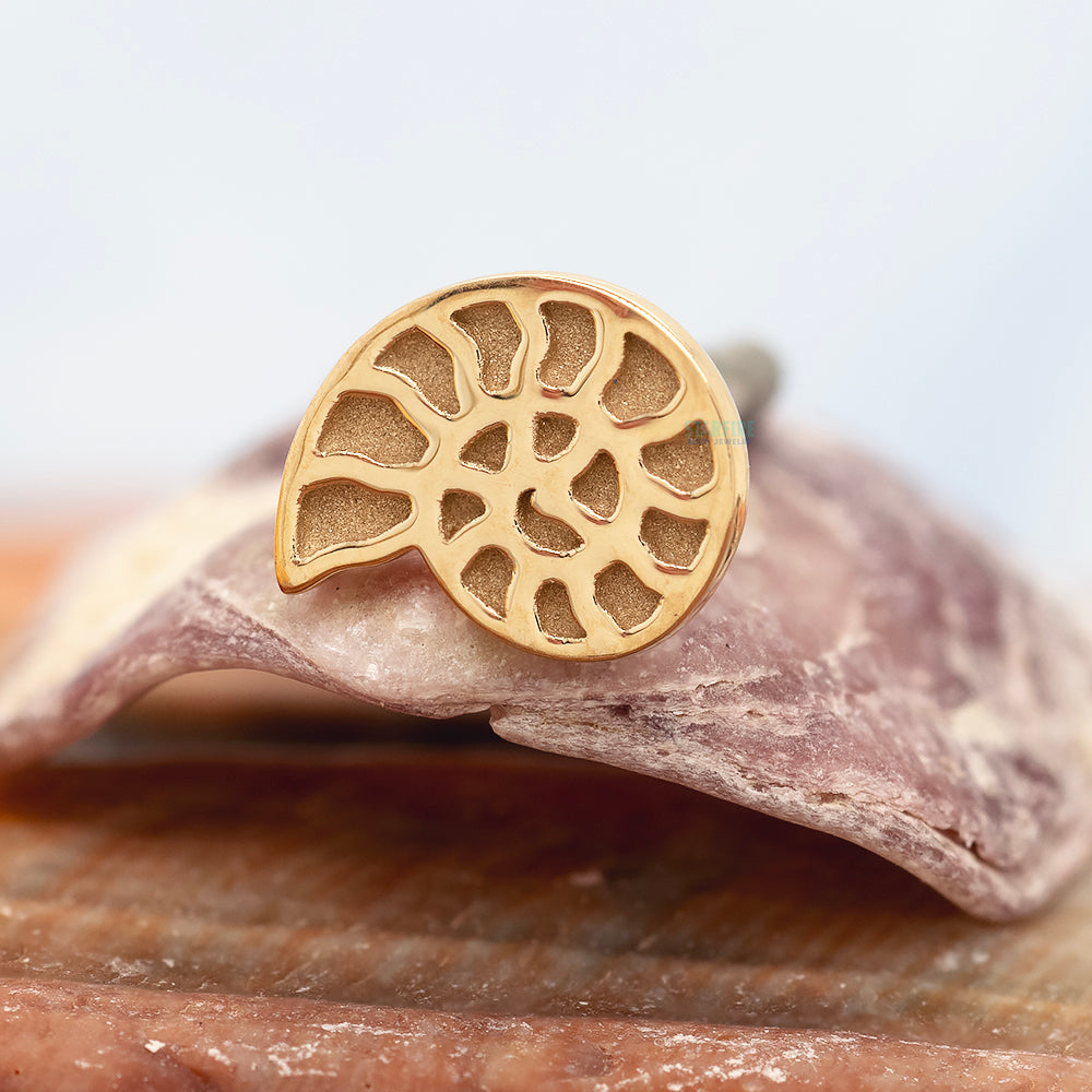 Nautilus Threaded End in Gold