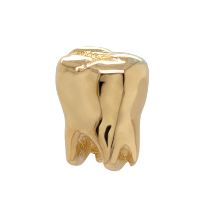 Tooth Threaded End in Gold