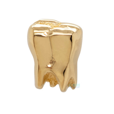 Tooth Threaded End in Gold