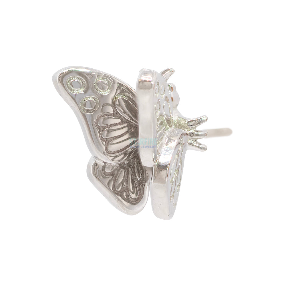 threadless: "Madam Butterfly" End in Gold
