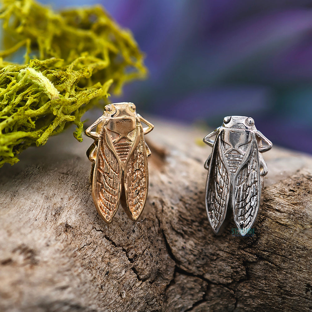 Body Gems threadless: Cicada End in Gold – Starfire Body Jewelry