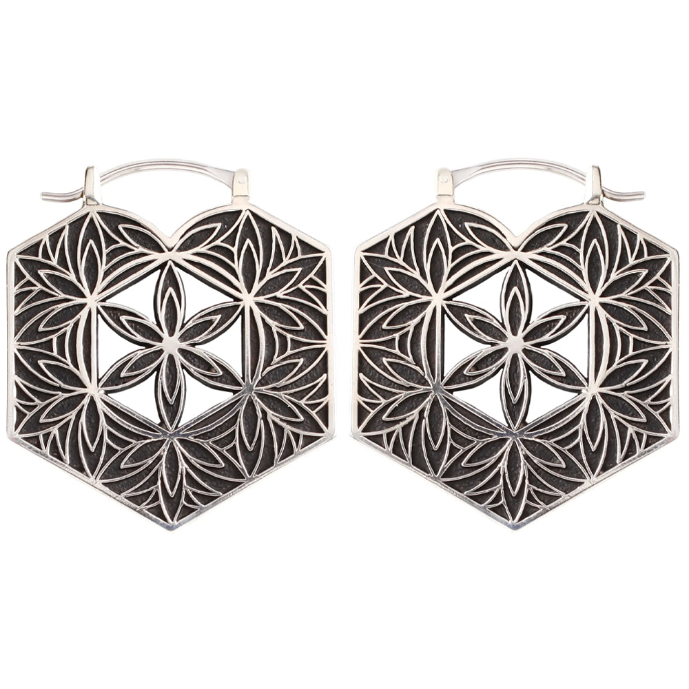 "Devine" Hoops