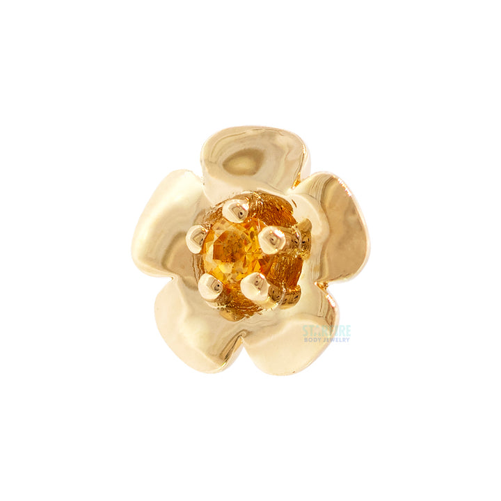 "Buttercup" Threaded End in Gold & Platinum with PRONG-SET Honey Topaz
