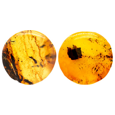 Amber Plugs