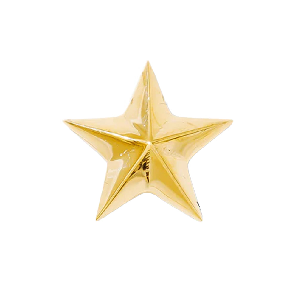 threadless: Nautical Star Pin in Gold
