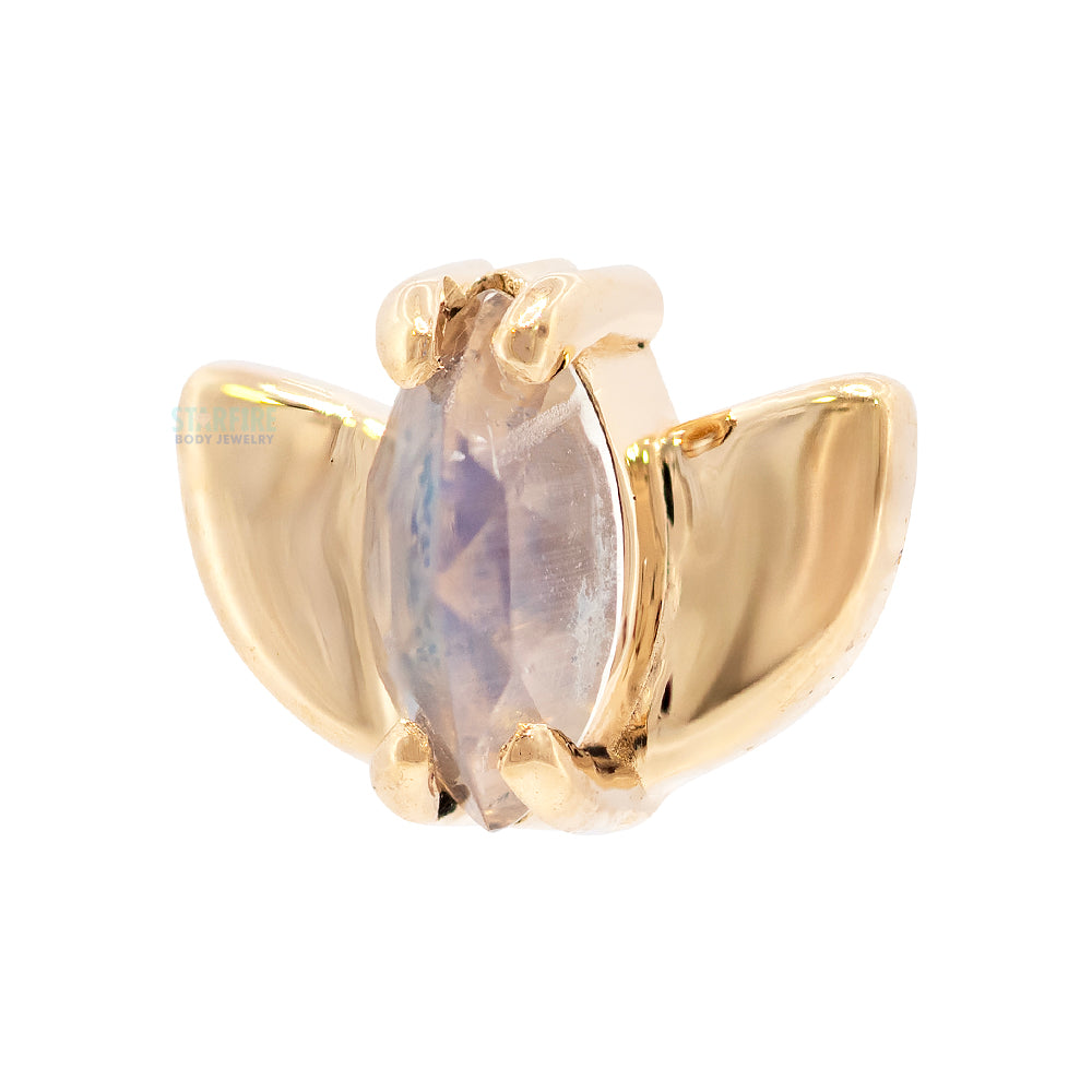 threadless: "Lotus" End in Gold with Rose Cut Moonstone