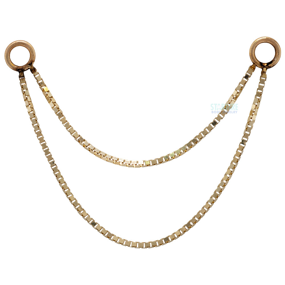 Double Box Chain Attachment in Gold