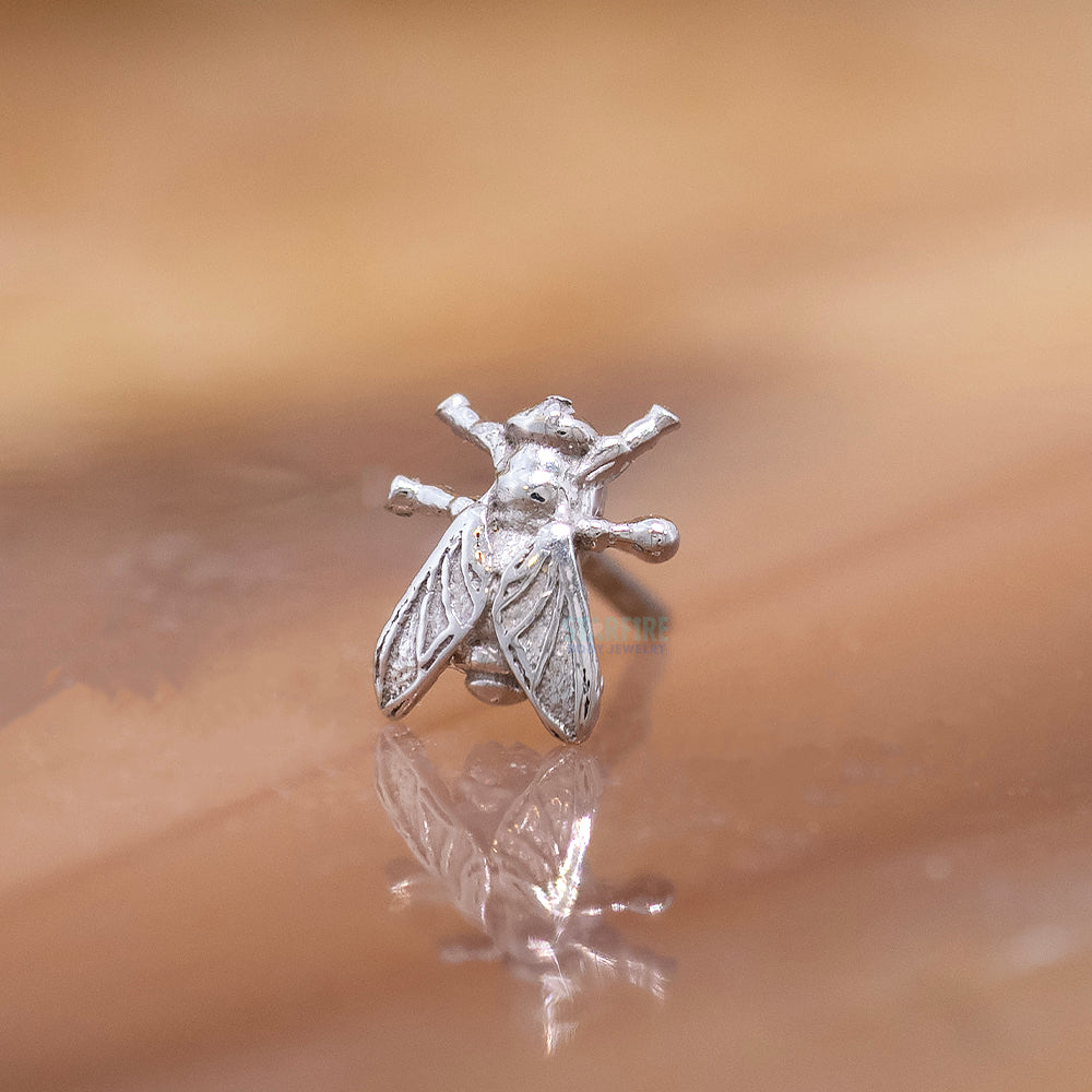 threadless: "Buzz" Pin in Gold