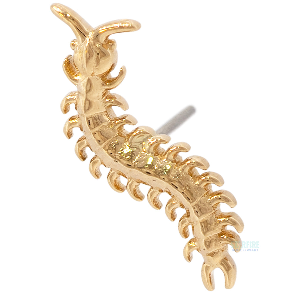 threadless: Centipede End in Gold